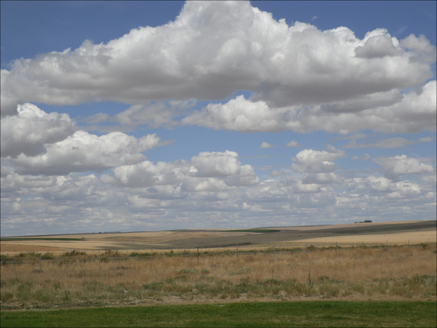 Ritzville, WA- Wheat fields